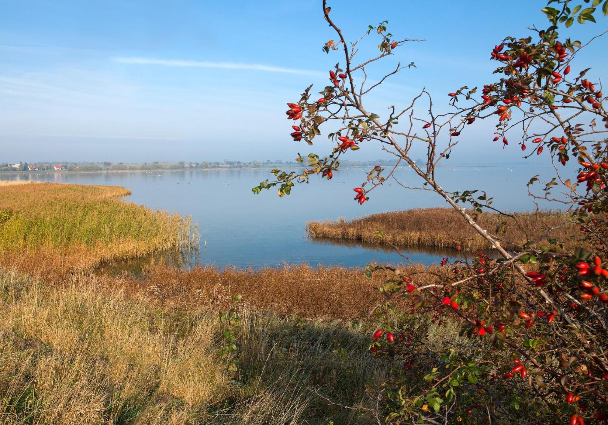 Residenz Am Yachthafen Strandaster Kirchdorf  Kültér fotó